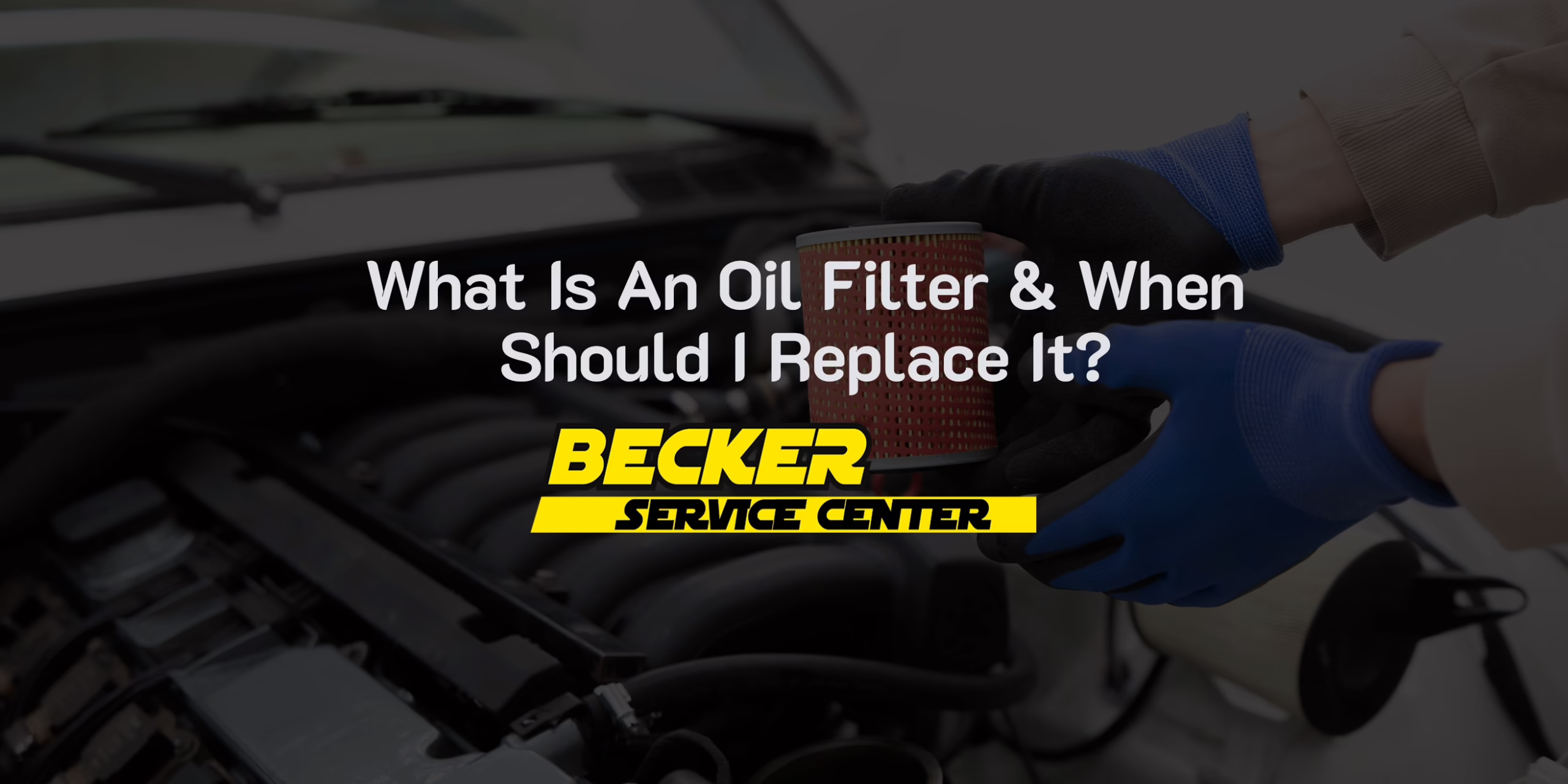 What Is The Oil Filter & When Should I Replace It?